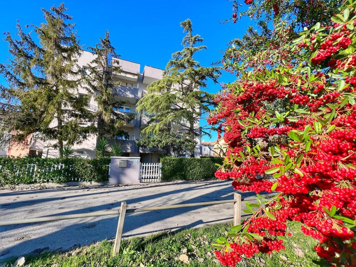 Lovely Apartment A Due Passi Dal Mare Rimini Exteriér fotografie